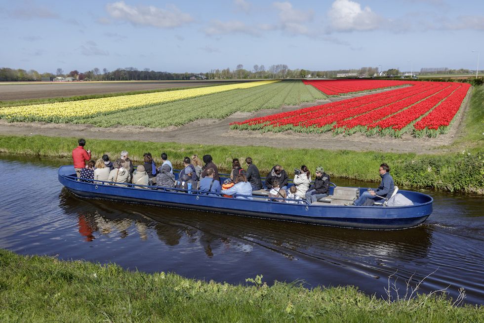 barca tulipani campi in fiore keukenhof