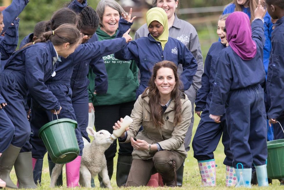 Kate Middleton in fattoria fa mangiare un agnello