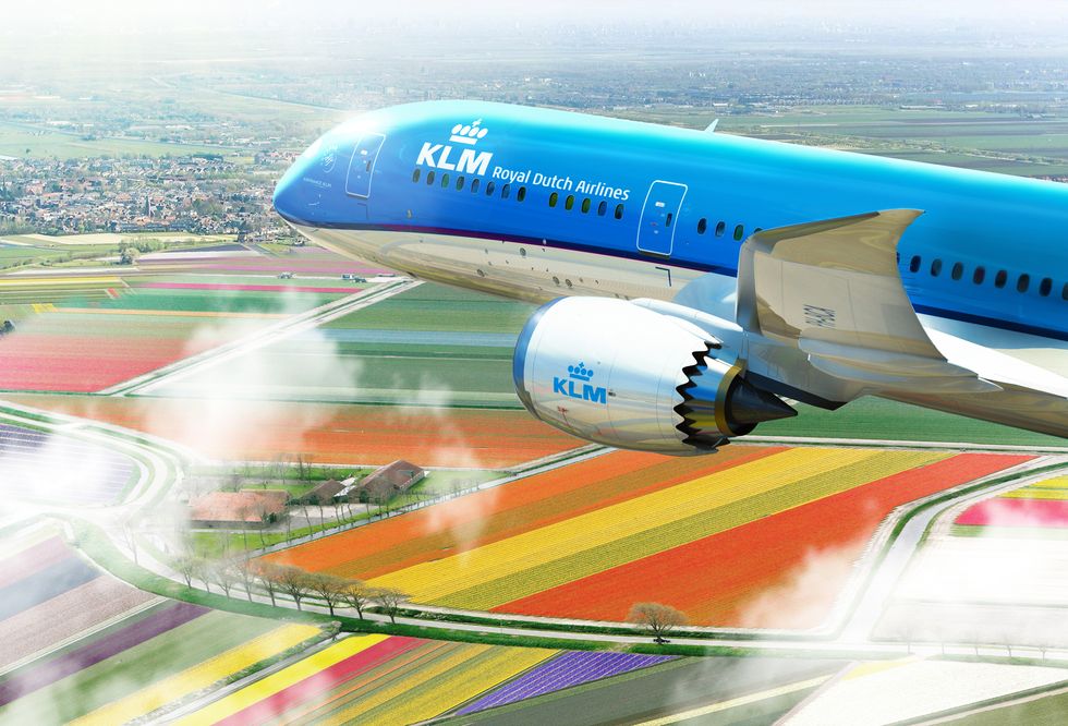 KLM-campi-tulipani