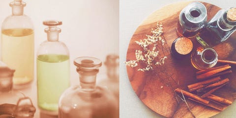 Tea tree oil, 6 motivi per cui è indispensabile: tutte le proprietà e i benefici