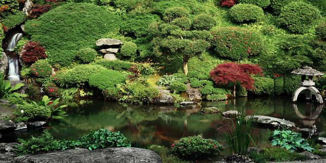 giardino giapponese roma piante