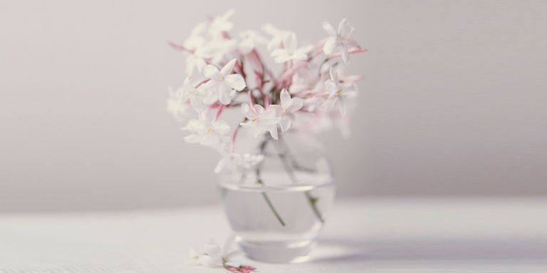 White, Flower, Pink, Cut flowers, Lilac, Vase, Plant, Spring, Blossom, Still life photography, 