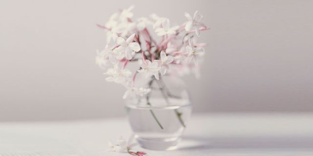 White, Flower, Pink, Cut flowers, Vase, Lilac, Plant, Still life photography, Spring, Blossom, 