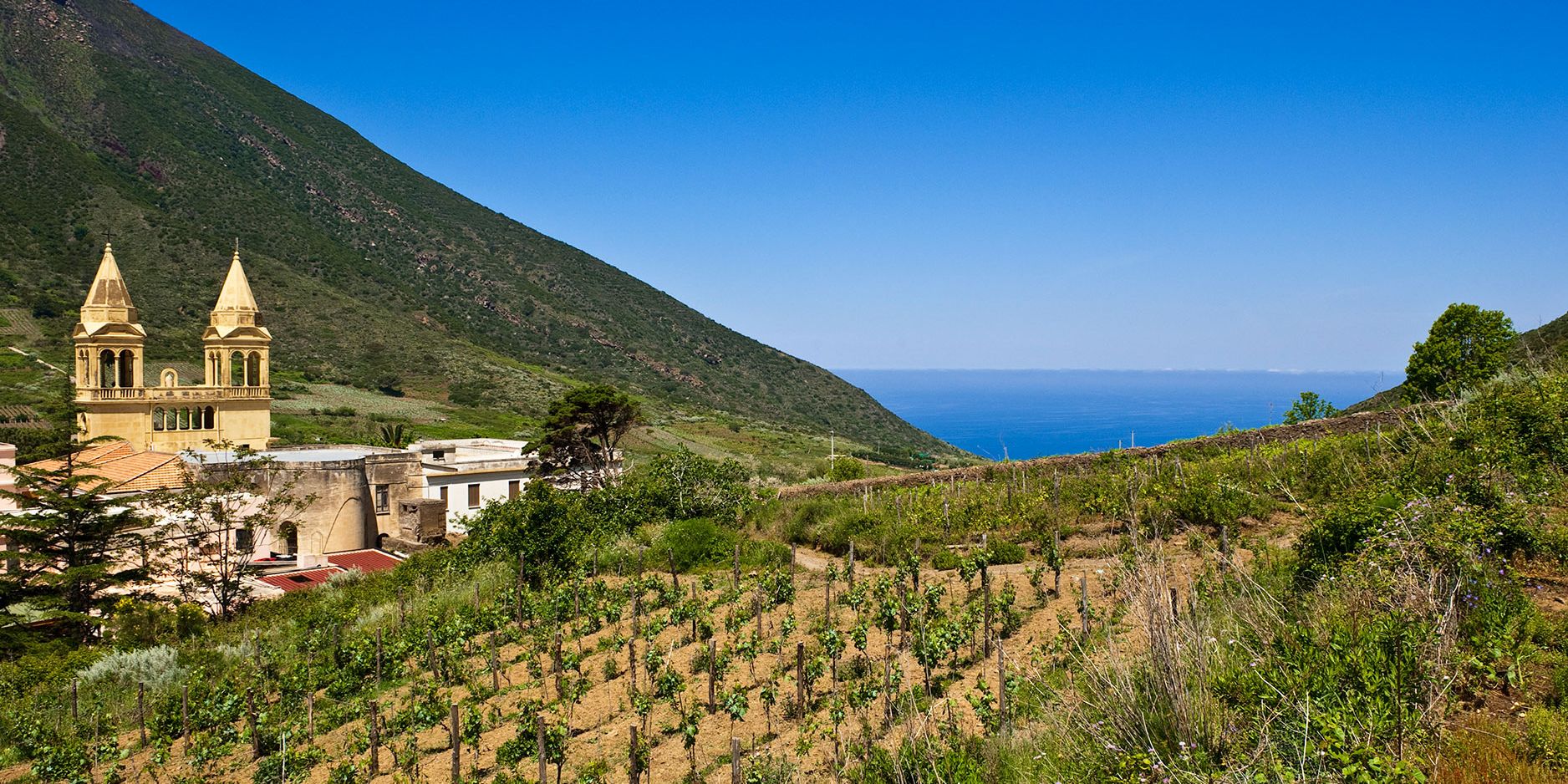 vino siciliano i migliori vini siciliani