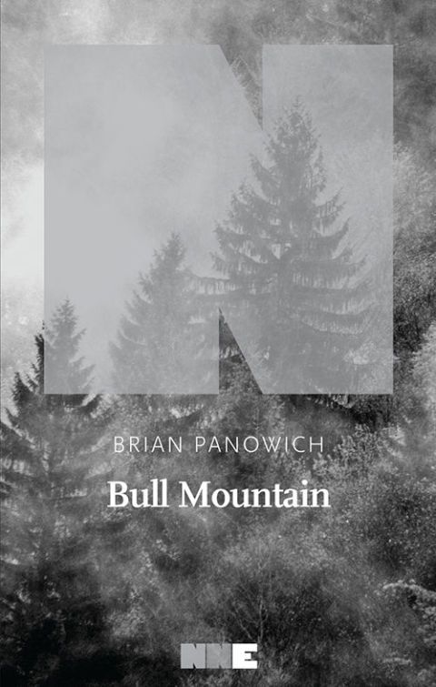 libri estate 2017 bull mountain