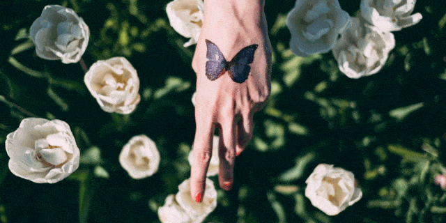 Tatuaggi farfalle disegni