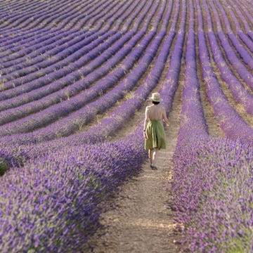 Mindfulness meditazione camminata e gestione del tempo