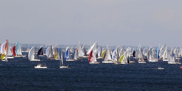 Barcolana, Trieste