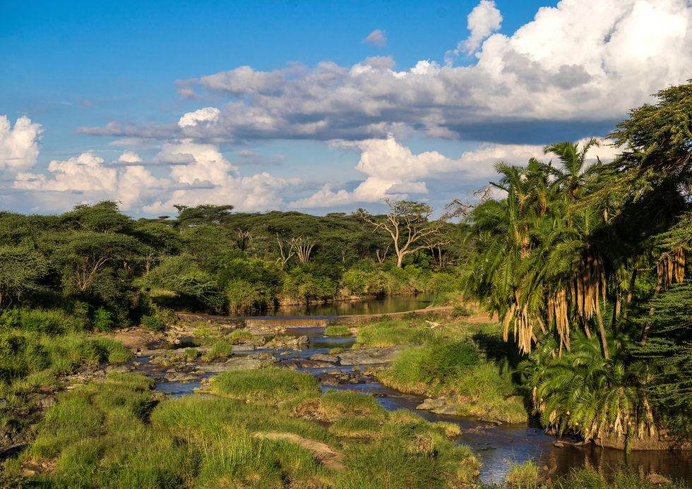 Tanzania, Parco Naturale del Serengeti