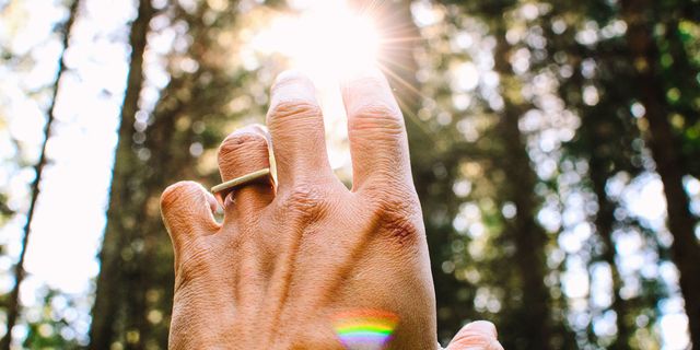 People in nature, Finger, Hand, Light, Sunlight, Skin, Nail, Tree, Gesture, Ring, 