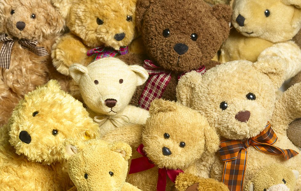 Stuffed toy, Teddy bear, Toy, Plush, Bear, 