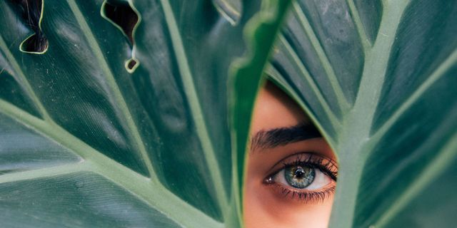 Face, Green, Eye, Eyebrow, Blue, Close-up, Head, Skin, Beauty, Organ, 