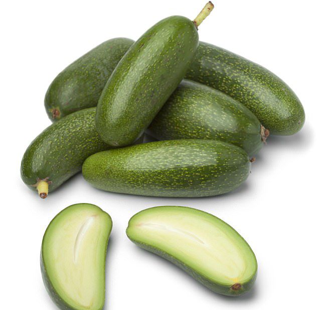 Food, Scarlet gourd, Vegetable, Plant, Cucumber, Cucumber, gourd, and melon family, Pepino, Cucumis, Natural foods, Spreewald gherkins, 