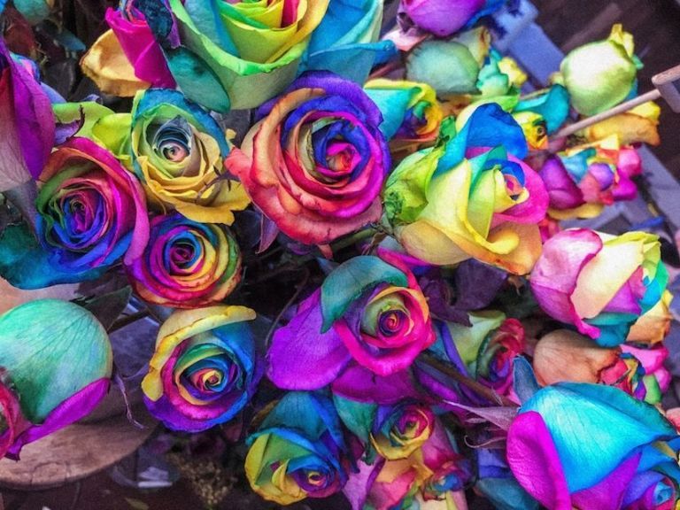 acqua alle rose per profumare capelli acqua alle rose per profumare capelli