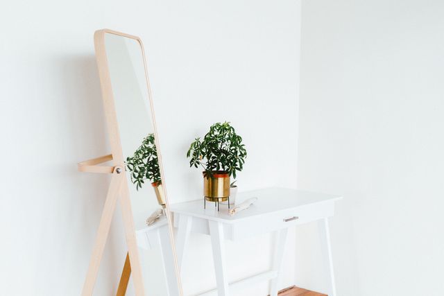 White, Photograph, Shelf, Table, Furniture, Room, Interior design, Still life photography, Plant, Photography, 
