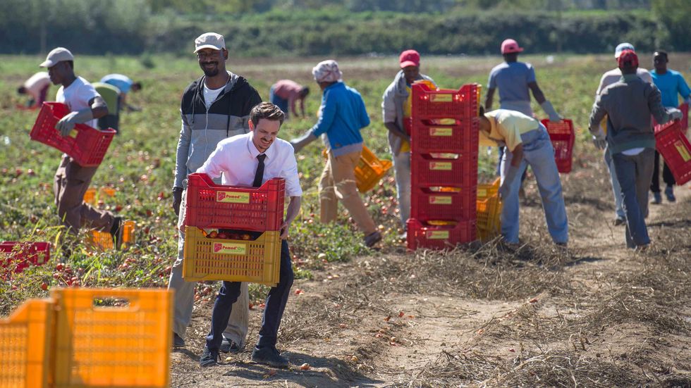 Soil, Community, Farmworker, Adaptation, Rural area, Plantation, Plant, Vehicle, 