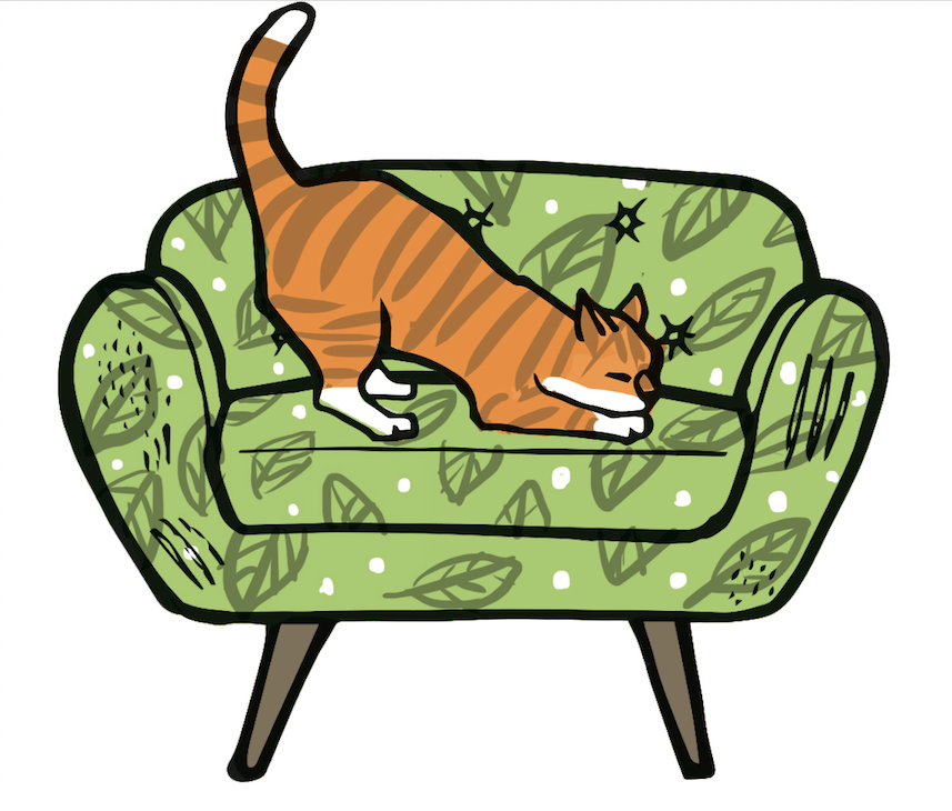 gatti-come-rendere-felice-nostro-gatto-libro-illustrazioni-isabella-giorgini-3