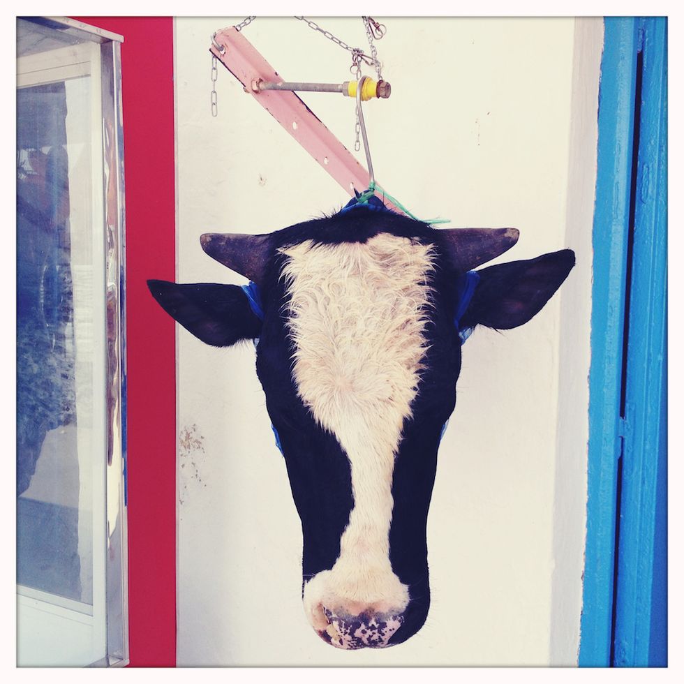 iDyssey - Isola di Djerba, testa di mucca appesa al di fuori di una macelleria, Tunisia, aprile 2012 @ Stefano De Luigi