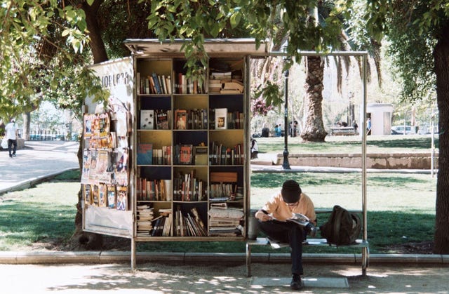 Tree, Furniture, Public space, Architecture, Table, Leisure, Building, Plant, City, House, 