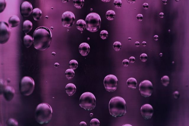 Water, Purple, Blue, Violet, Pink, Drop, Colorfulness, Magenta, Moisture, Macro photography, 