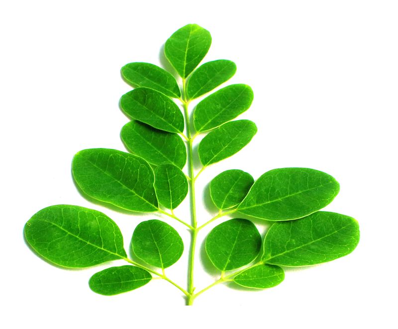 dieta verdure verdi moringa