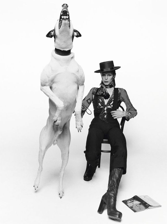 David Bowie in posa per il suo album Diamonds Dogs, Londra 1974 © Terry O'Neill