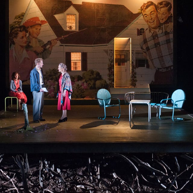 Lighting, Furniture, Chair, Stage, heater, Drama, Hall, Picture frame, Houseplant, Theatre, 