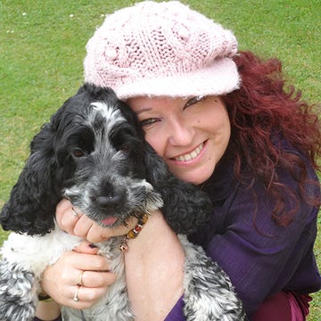 Dog, Dog breed, Mammal, Carnivore, Companion dog, Fur, Bonnet, Working animal, Love, Sporting Group, 