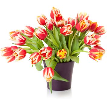 Petal, Flower, Bouquet, Cut flowers, Orange, Flower Arranging, Floristry, Artifact, Flowering plant, Peach, 