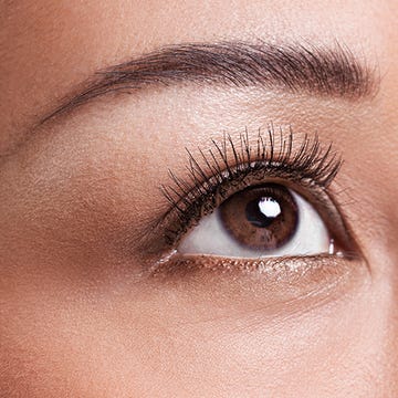Brown, Skin, Eyelash, Eyebrow, Iris, Organ, Beauty, Tints and shades, Photography, Close-up, 