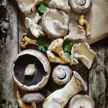 Wood, Organism, Ingredient, Mushroom, Natural material, Fungus, Still life photography, Polyporales, Terrestrial plant, Fawn, 