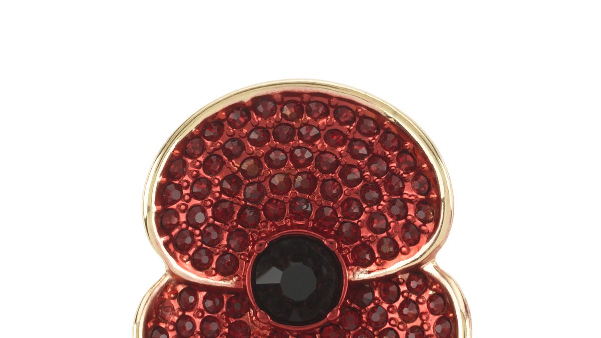 Royal British Legion 2023 Poppy Lapel Pin - £5 : : Fashion
