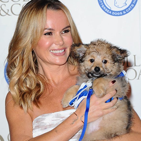 Cute dogs join celebrities on the red carpet Celebrity Fashion
