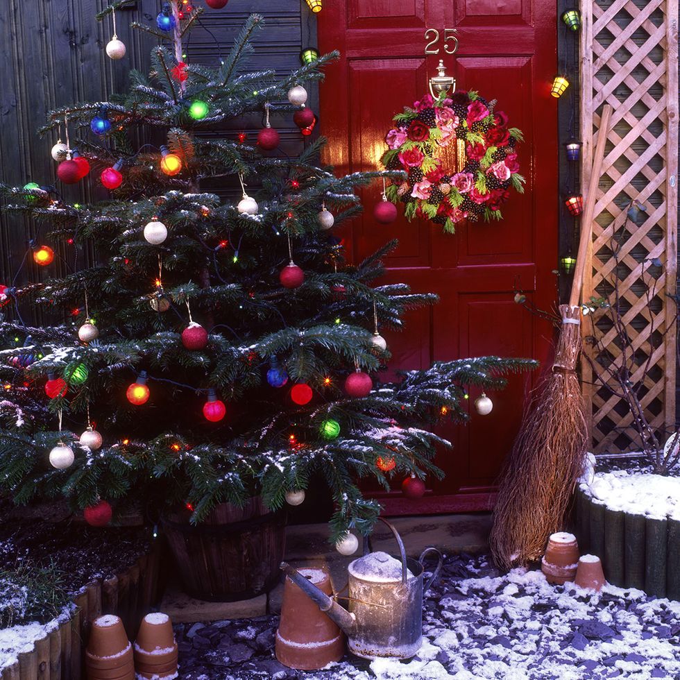 Event, Christmas decoration, Christmas ornament, Interior design, Christmas tree, Holiday, Flowerpot, Christmas, Christmas eve, Holiday ornament, 