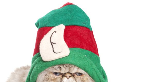 Event, Textile, Fictional character, Santa claus, Holiday, Headgear, Costume accessory, Carnivore, Christmas, Small to medium-sized cats, 
