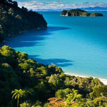Body of water, Vegetation, Coastal and oceanic landforms, Natural landscape, Water, Landscape, Coast, Ocean, Azure, Sea, Body of water, Vegetation, Coastal and oceanic landforms, Natural landscape, Water, Landscape, Coast, Ocean, Azure, Sea,