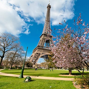 Grass, Daytime, Branch, Tower, Cloud, Spire, Public space, Tourism, Landmark, Urban area, 