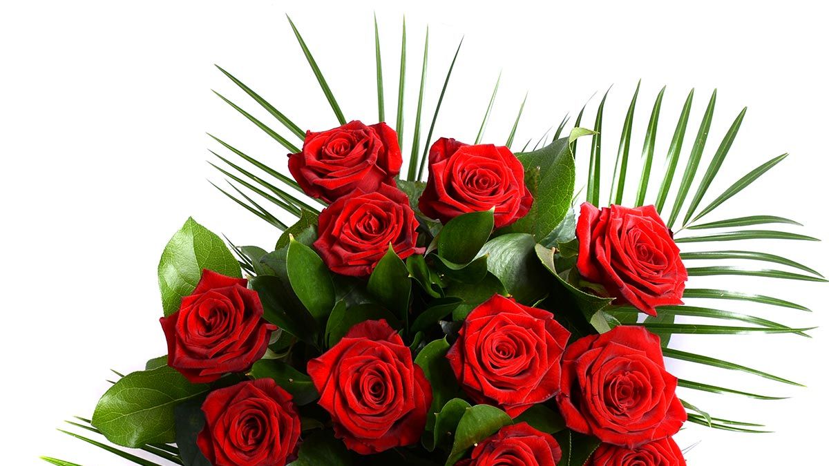 Red Rose - Valentine'S Day - Red Roses Delivered