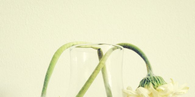 Glass, Flower, Artifact, Vase, Still life photography, Cut flowers, Flower Arranging, Serveware, Interior design, Flowering plant, 