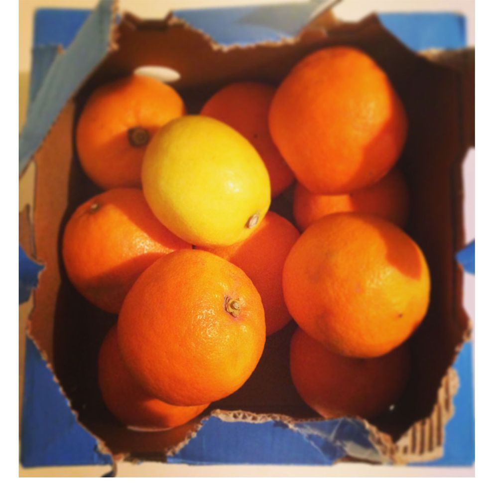 Fruit, Citrus, Clementine, Rangpur, Food, Orange, Tangerine, Mandarin orange, Valencia orange, Plant, 