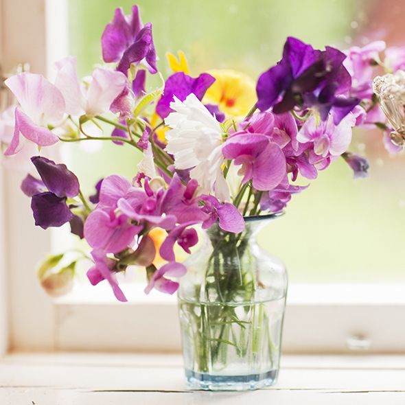 Petal, Flower, Purple, Bouquet, Lavender, Violet, Cut flowers, Centrepiece, Floristry, Glass, 