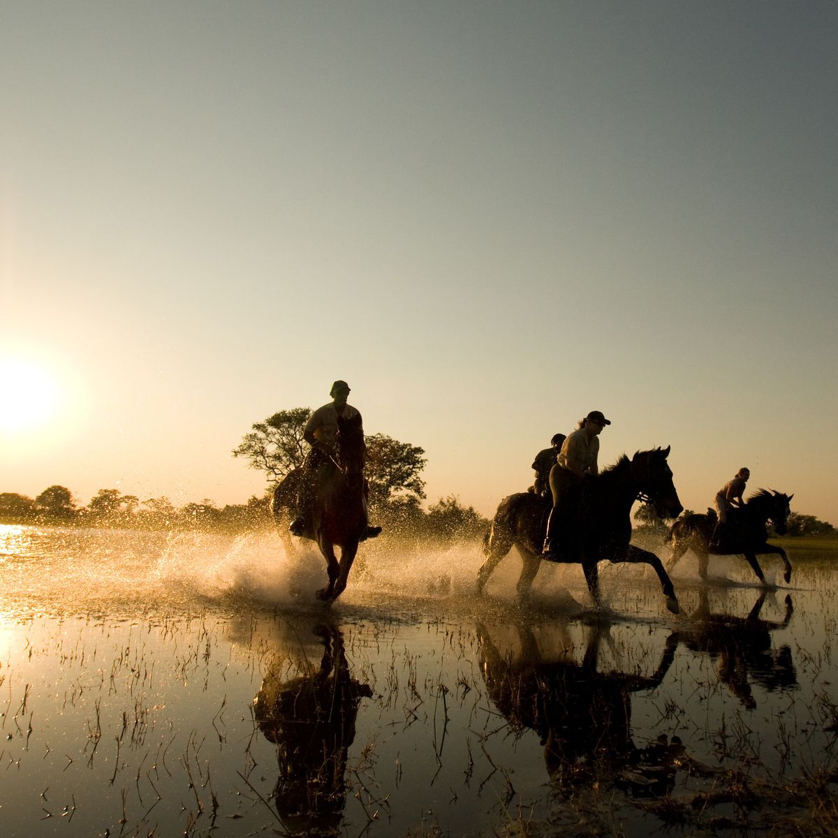 Human, Reflection, Wetland, People in nature, Working animal, Pack animal, Rein, Marsh, Horse supplies, Horse, 