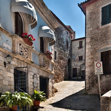 Plant, Flowerpot, Street, Facade, Arch, Houseplant, Door, Cobblestone, Alley, Hacienda, 