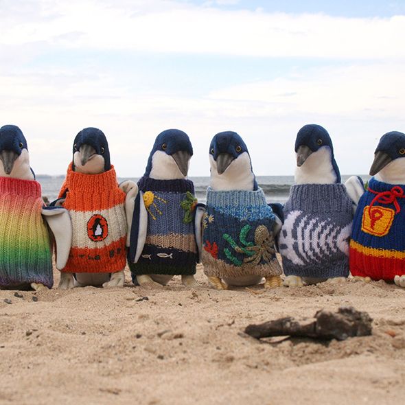 The 109 year old man who knitted tiny sweaters for tiny penguins
