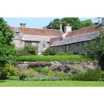 Window, Plant, Property, Shrub, House, Residential area, Neighbourhood, Land lot, Real estate, Roof, 