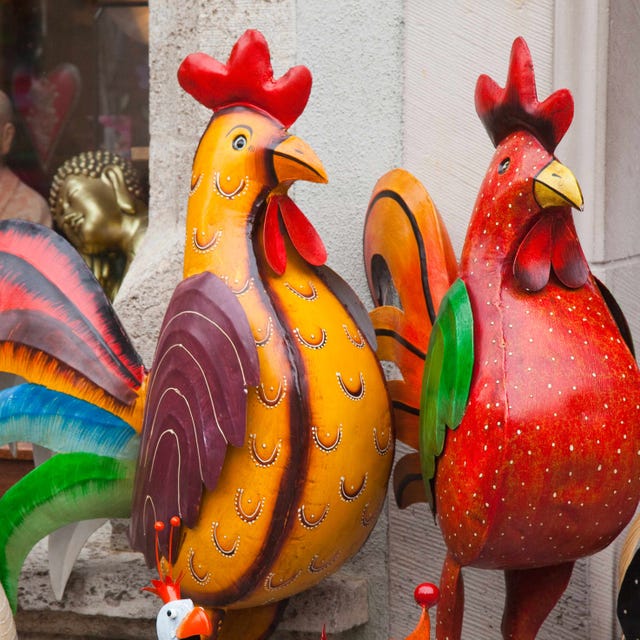 Beak, Vertebrate, Bird, Phasianidae, Red, Galliformes, Poultry, Orange, Carmine, Fowl, 