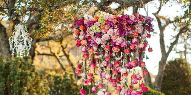 Petal, Flower, Tablecloth, Pink, Garden, Shrub, Magenta, Cut flowers, Floristry, Flower Arranging, 