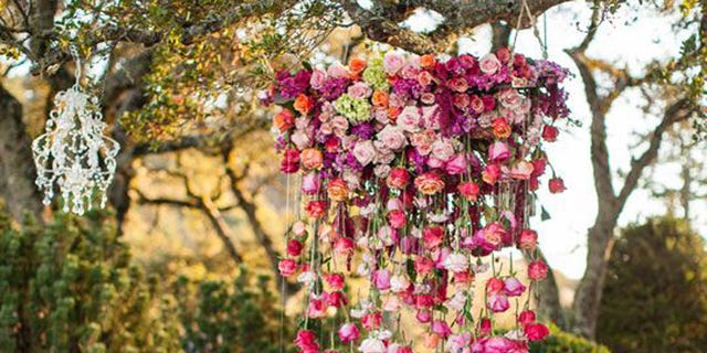 Petal, Flower, Tablecloth, Pink, Garden, Shrub, Magenta, Cut flowers, Floristry, Flower Arranging, Petal, Flower, Tablecloth, Pink, Garden, Shrub, Magenta, Cut flowers, Floristry, Flower Arranging,