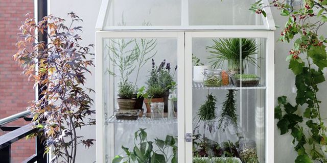 Flowerpot, Plant, Interior design, Fixture, Houseplant, Annual plant, Herb, Perennial plant, Basket, Greenhouse, 