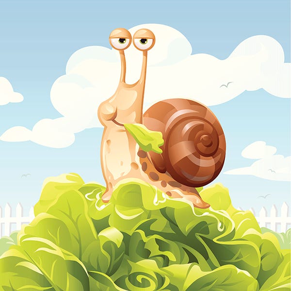 Snails and slugs, Art, Animation, Invertebrate, Cartoon, Illustration, Snail, Graphics, Molluscs, Drawing, 